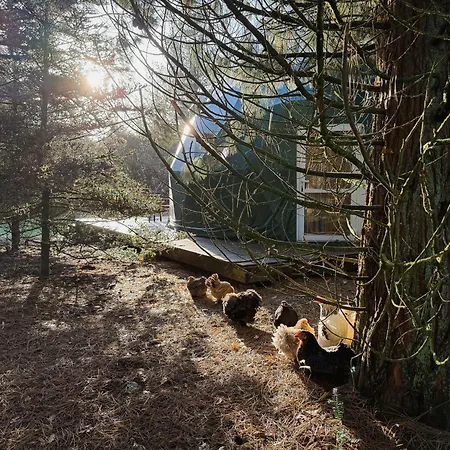 Classy - Domes Otterlo