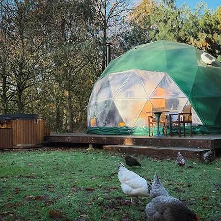 Classy - Domes