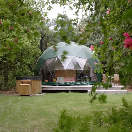 Classy - Domes *