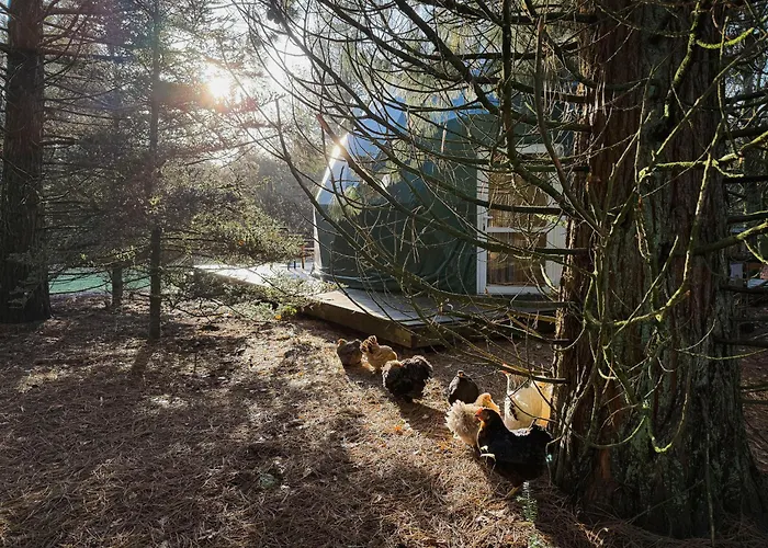 Classy - Domes Otterlo