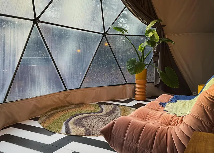 Classy - Domes Otterlo